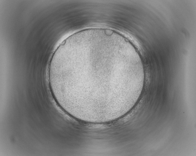 X0000115021382200912071018