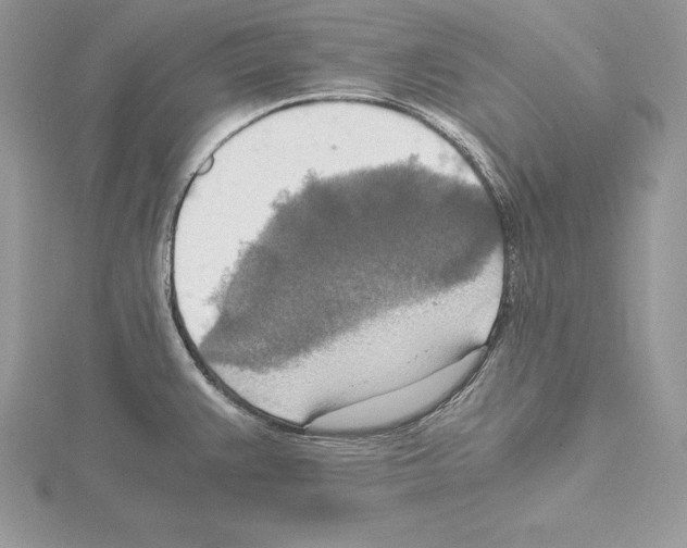 X0000115021383200912071018