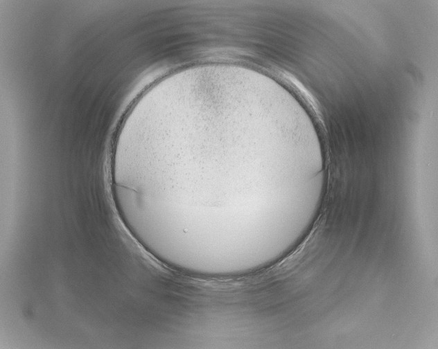 X0000115021384200912071018