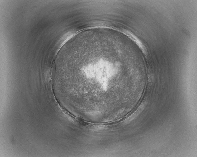 X0000115021385200912071018