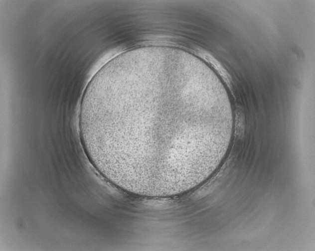 X0000115021386200912071018