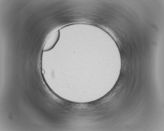 X0000115021387200912071018