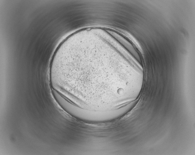 X0000115021388200912071018