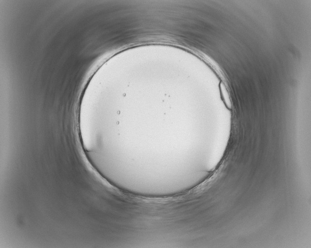 X0000115021389200912071018