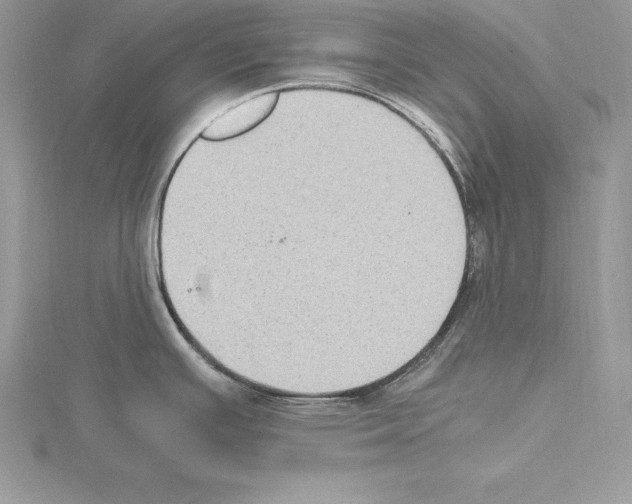 X0000115021391200912071018