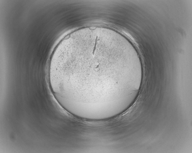 X0000115021392200912071018