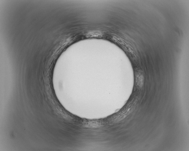 X0000115021393200912071017