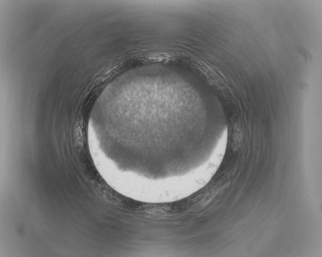 X0000115021394200912071017