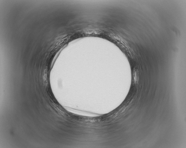 X0000115021396200912071017