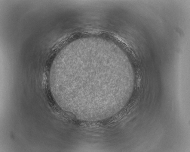 X0000115021397200912071017