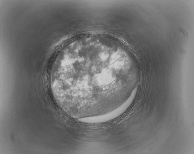 X0000115021398200912071017