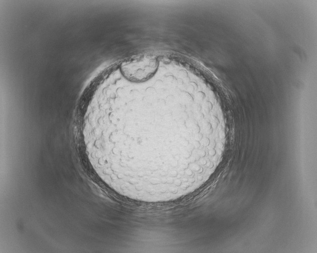 X0000115021400200912071017