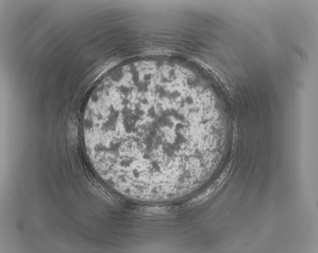 X0000115021401200912071017