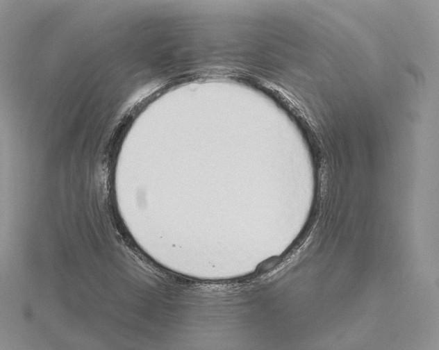 X0000115021402200912071017