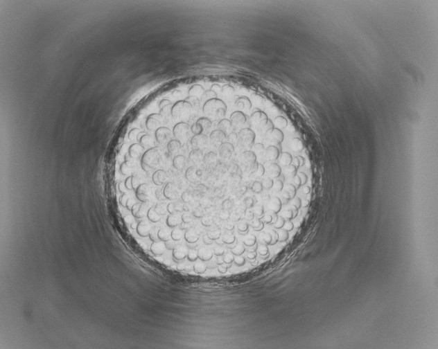 X0000115021404200912071017