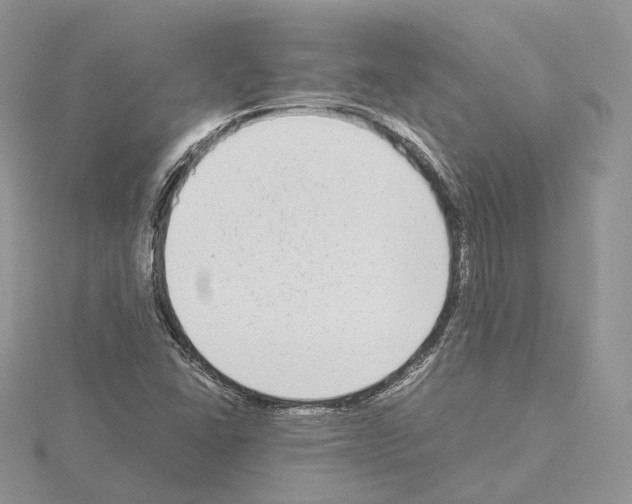 X0000115021406200912071017