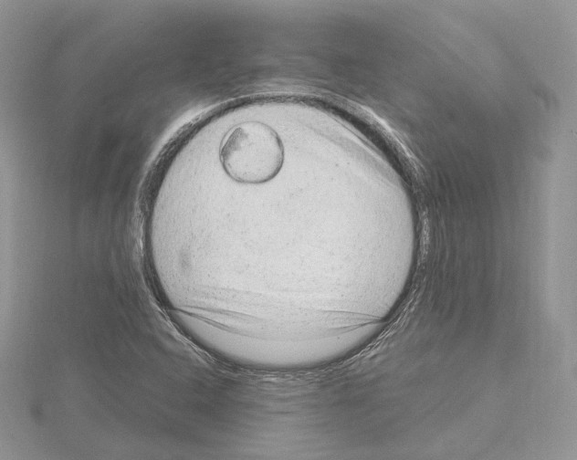 X0000115021408200912071017