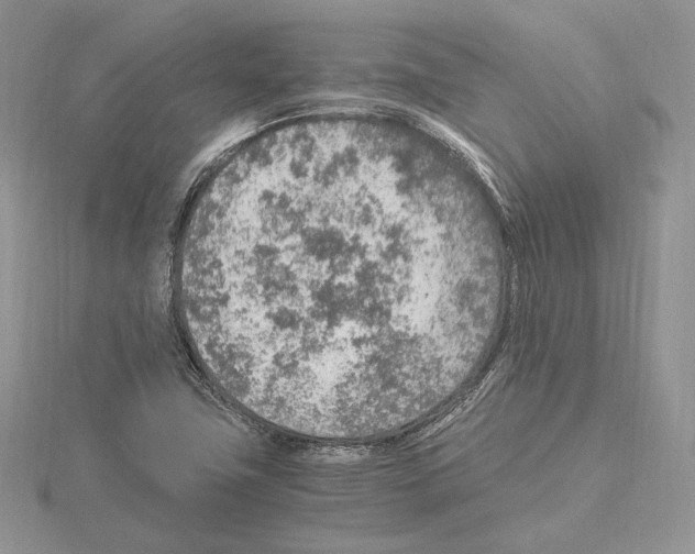 X0000115021411200912071017