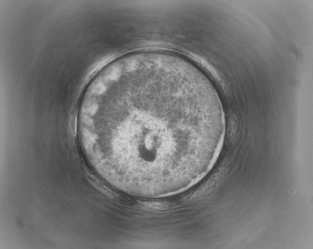 X0000115021413200912071017