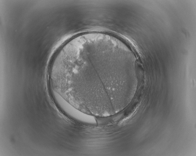 X0000115021414200912071017