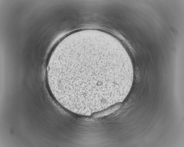 X0000115021416200912071017