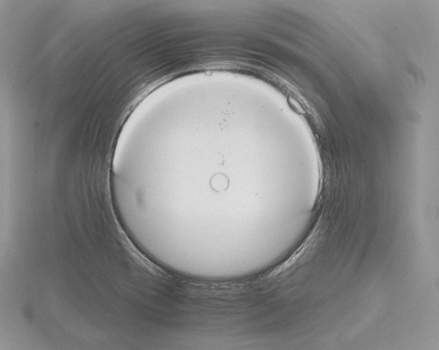 X0000115021417200912071018