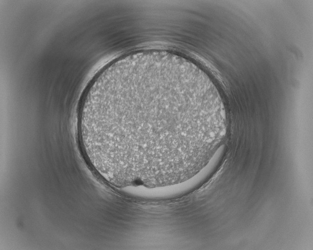 X0000115021418200912071018