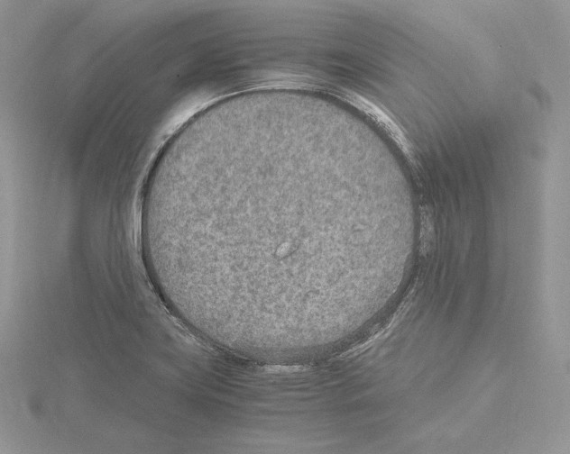 X0000115021419200912071018