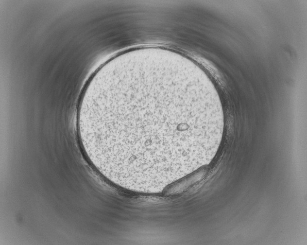 X0000115021420200912071018