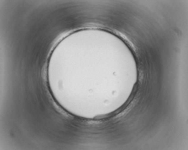 X0000115021421200912071018