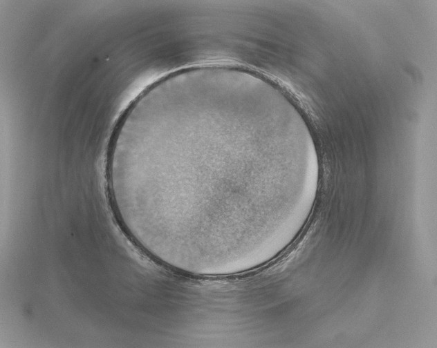 X0000115021422200912071018