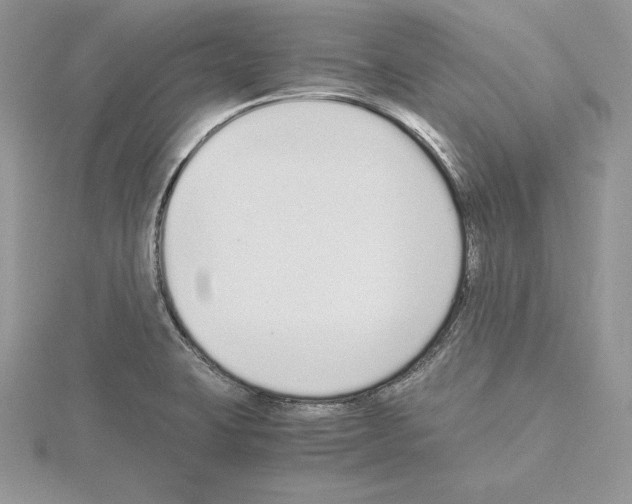 X0000115021423200912071018