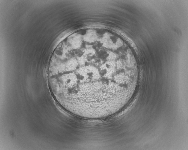 X0000115021425200912071018