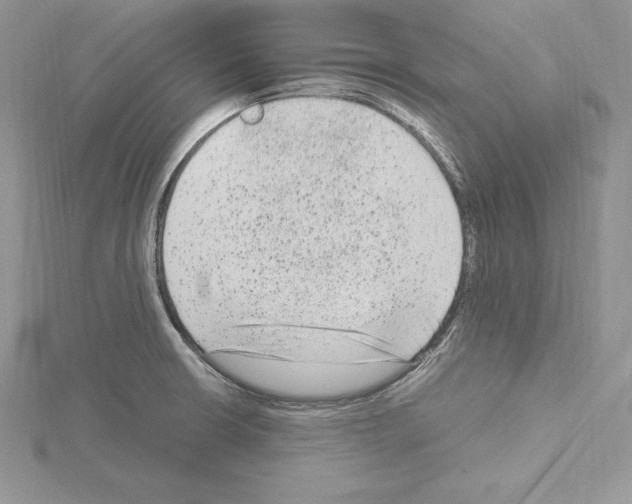 X0000115021426200912071018