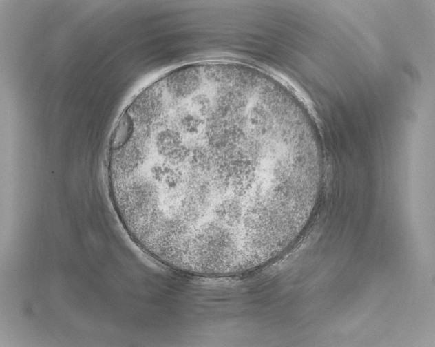 X0000115021429200912071018