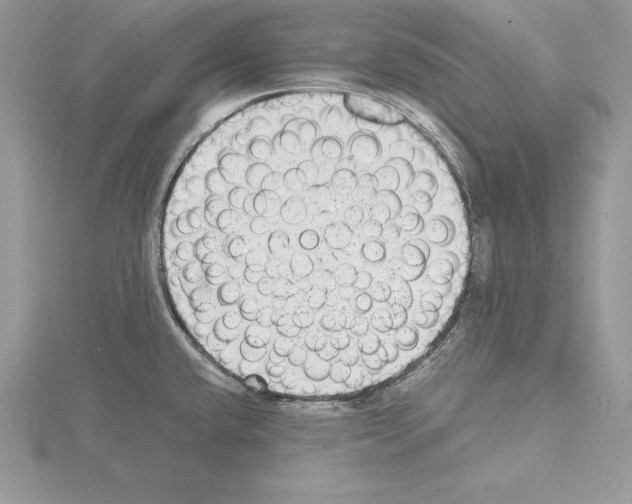 X0000115021432200912071018