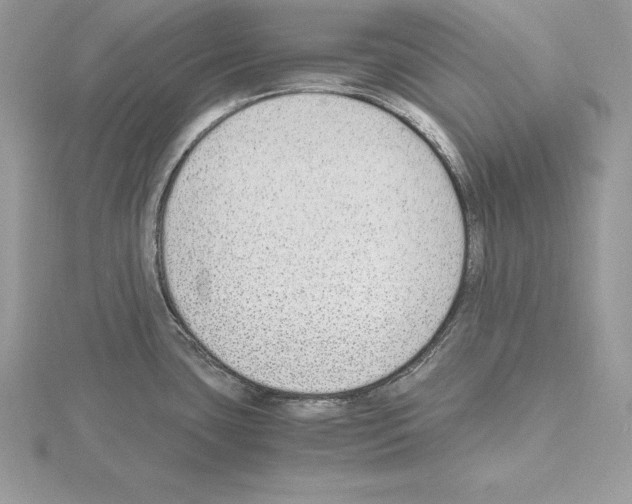 X0000115021435200912071018