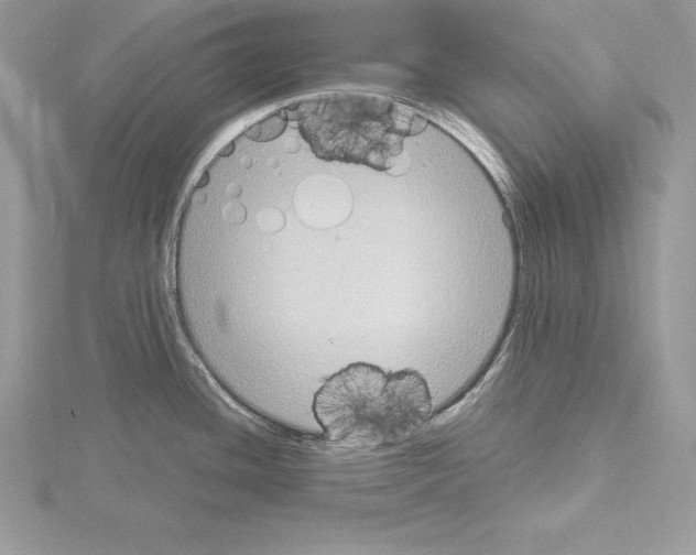 X0000115021436200912071018