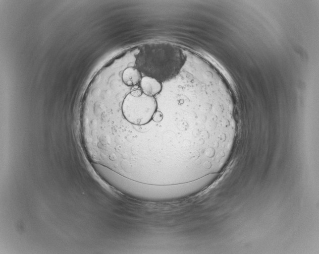 X0000115021437200912071018