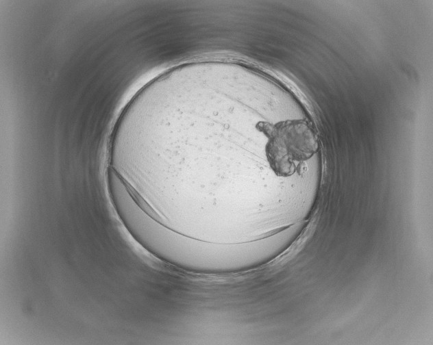 X0000115021438200912071018