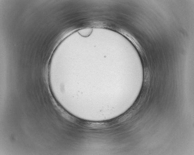 X0000115021439200912071018