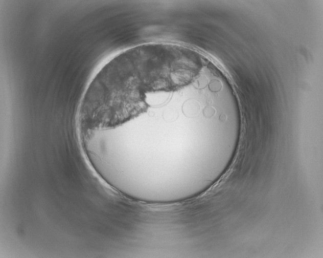 X0000115021440200912071018