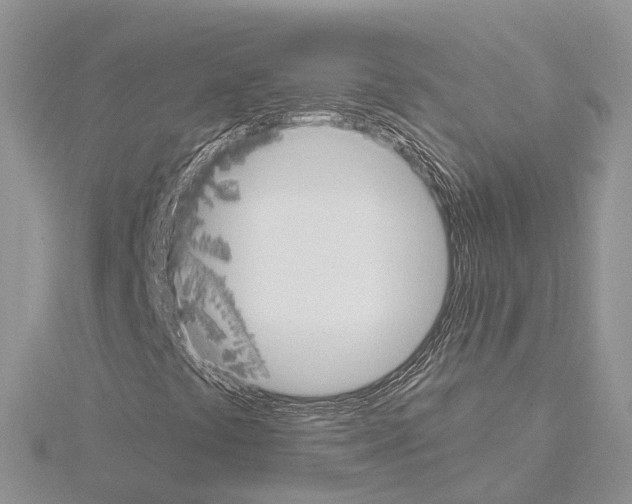 X0000115021441200912071017