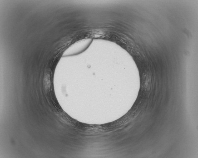 X0000115021442200912071017