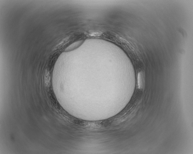 X0000115021443200912071017