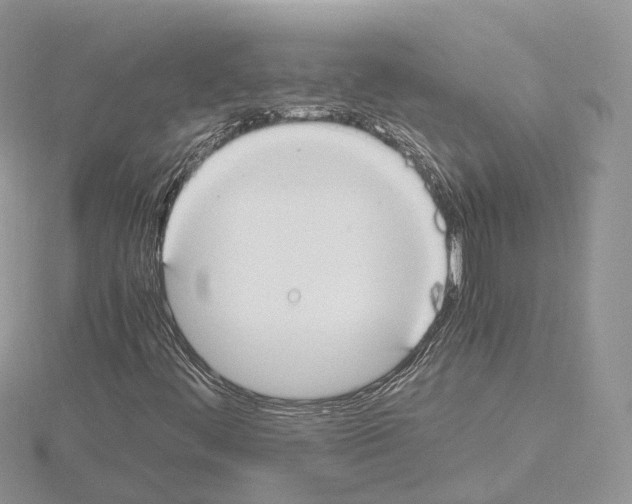 X0000115021444200912071017