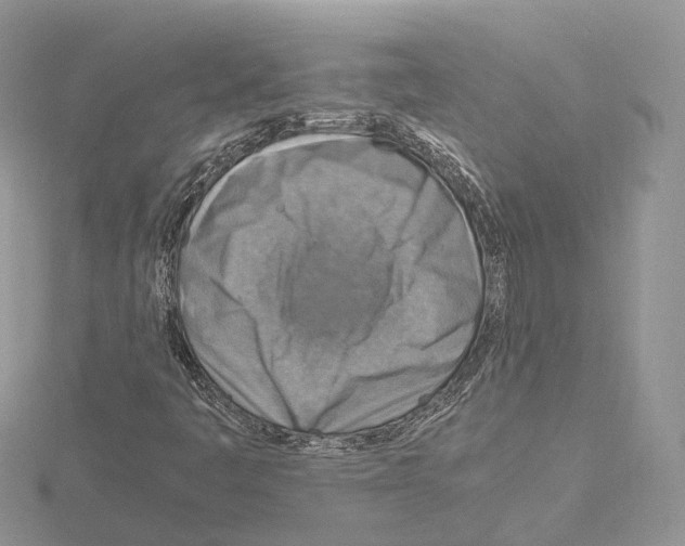 X0000115021445200912071017