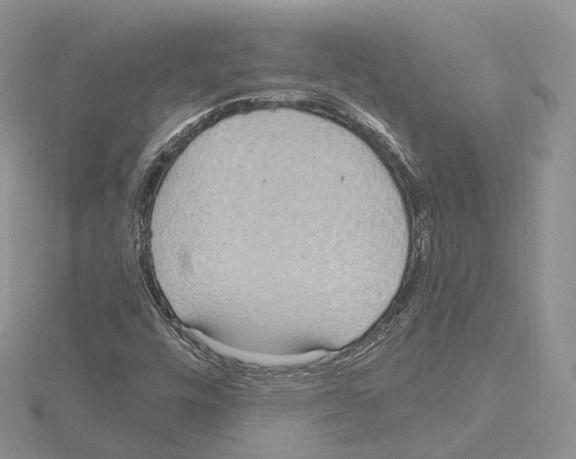 X0000115021448200912071017