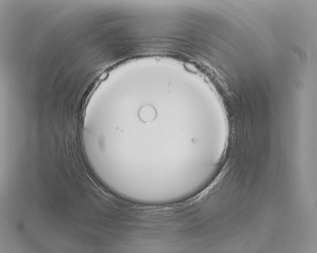 X0000115021449200912071017