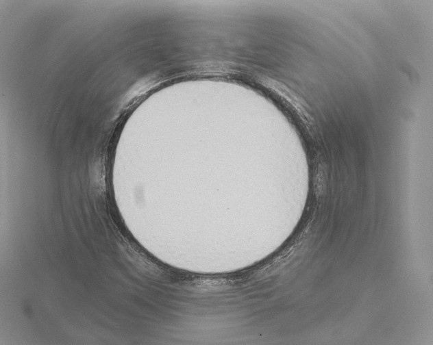 X0000115021451200912071017